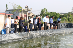 Mô hình nuôi tôm công nghệ cao tại xã Kim Đông huyện Kim Sơn.