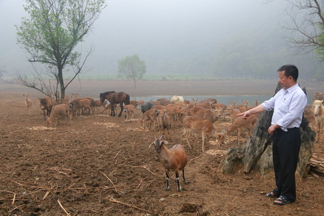 Mô hình kinh tế trang trại nuôi các con đặc sản của Ông Trịnh Văn Tiến xã Đông Sơn (TP Tam Điệp)