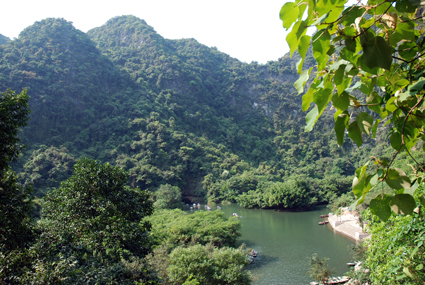 Thảm thực vật xanh ở Tràng An.