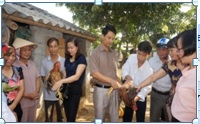 Các đại biểu thăm quan mô hình sử dụng đệm lót sinh học trong chăn nuôi tại xã Gia Sinh (Gia Viễn)