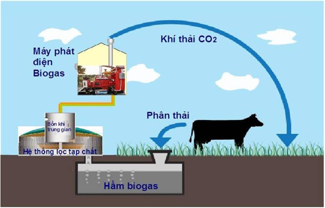 Kết hợp hầm xử lý chất thải chăn nuôi bằng hầm biogas và máy phát điện góp phần giảm thiểu khí nhà kính phát sinh.