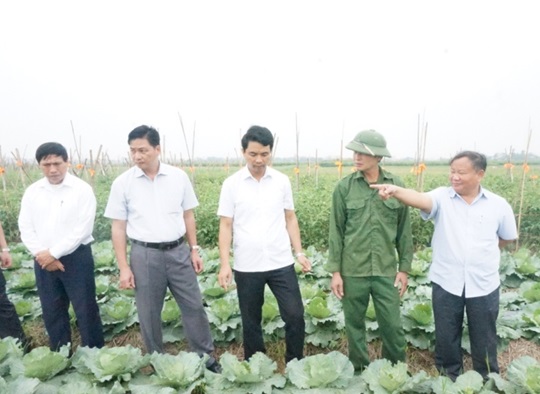 Đ/c Đinh Khắc Đính - PCT TW Hội Nông dân Việt Nam thăm mô sản xuất rau an của Hợp tác xã nông nghiệp Phúc Long (Yên Mô).