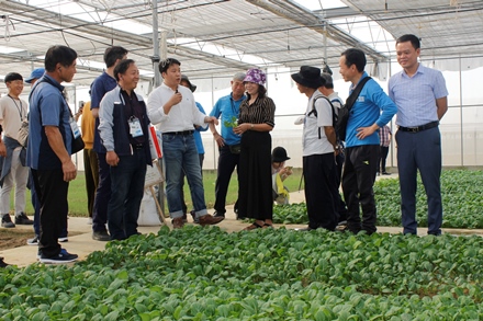 Đoàn thăm mô hình sản xuất nông nghiệp công nghệ cao của Công ty Công nghệ xanh.