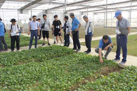 Mô hình sản xuất nông nghiệp của Công ty Cổ phần đầu tư công nghệ Xanh tại xã Khánh Cư (Yên Khánh). Ảnh: Trường Giang