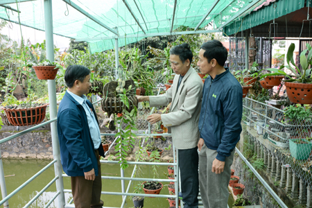 Mô hình trồng hoa lan của hội viên Hội Nông dân xã Đồng Phong (Nho Quan) đem lại thu nhập ổn định hàng năm.