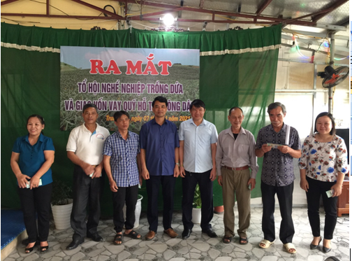 Ra mắt Tổ Hội nghề nghiệp trồng dứa tại phường Trung Sơn (Tam Điệp).
