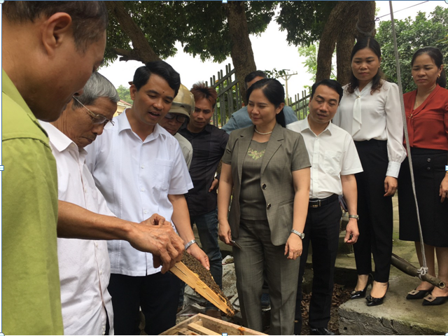 các đại biểu tham quan mô hình nuôi ong tại HTX sản xuất, tiêu thụ mật ong Cúc Phương (Nho Quan)