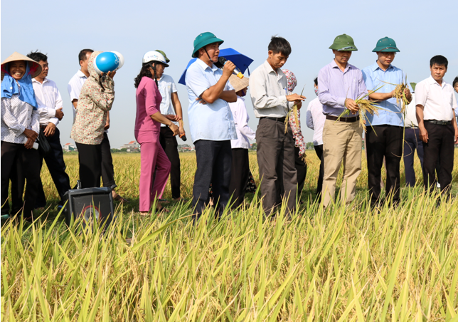 Các đại biểu tham quan mô hình canh tác lúa thân thiện với môi trường tại xã Khánh Trung (Yên Khánh).