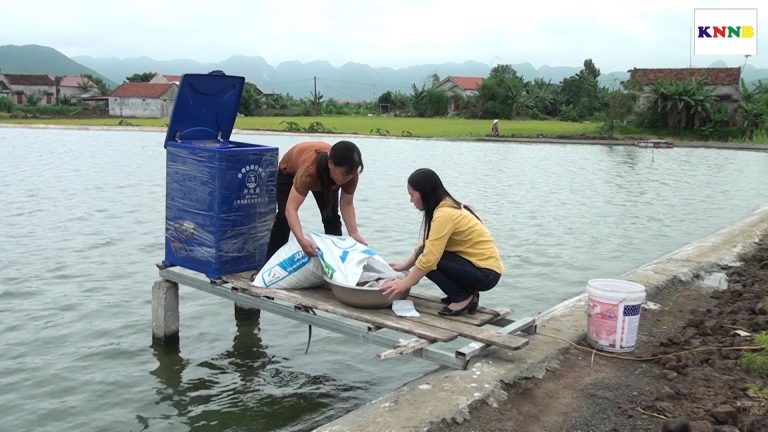 Chăm sóc và bảo vệ con nuôi thủy sản nước ngọt trong giai đoạn giao mùa