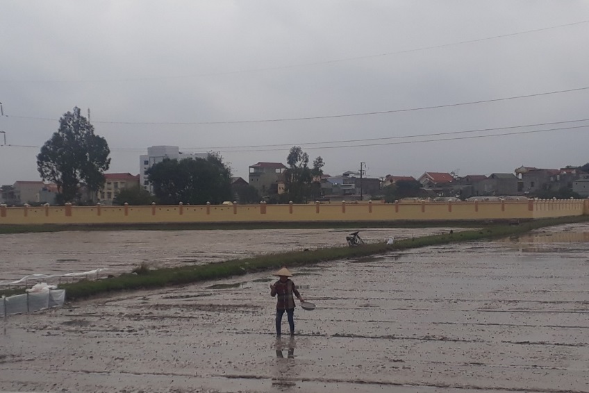 Bà con nông dân xã Đồng Hướng gieo sạ vụ chiêm xuân năm 2022