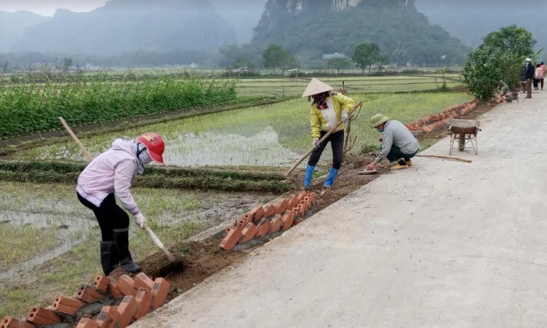 HVND thôn Liên Phương, xã Thạch Bình trồng cây, hoa trên chục đường giao thông