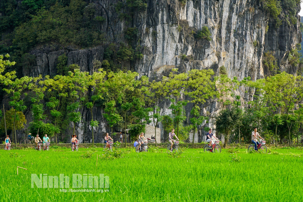 Du khách nước ngoài yêu thích đạp xe ngắm cảnh làng quê thanh bình ở Ninh Bình. Ảnh: PV