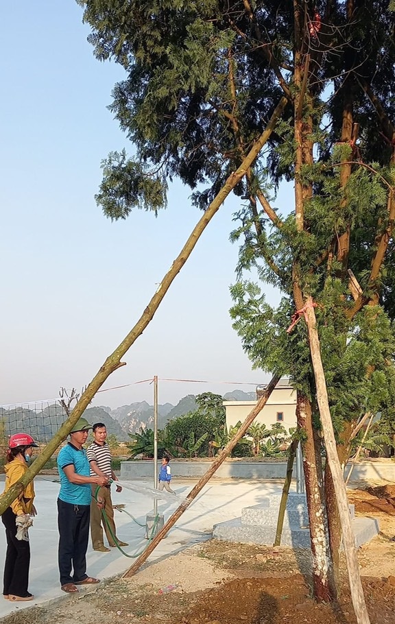 Chi hội nông dân thôn Tiền Phong hưởng ứng chương trình trồng 1 tỷ cây xanh