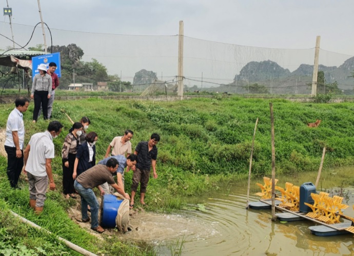 Hội Nông dân tỉnh tổ chức trao cá giống, mô hình nuôi cá vượt lũ tại Nho Quan