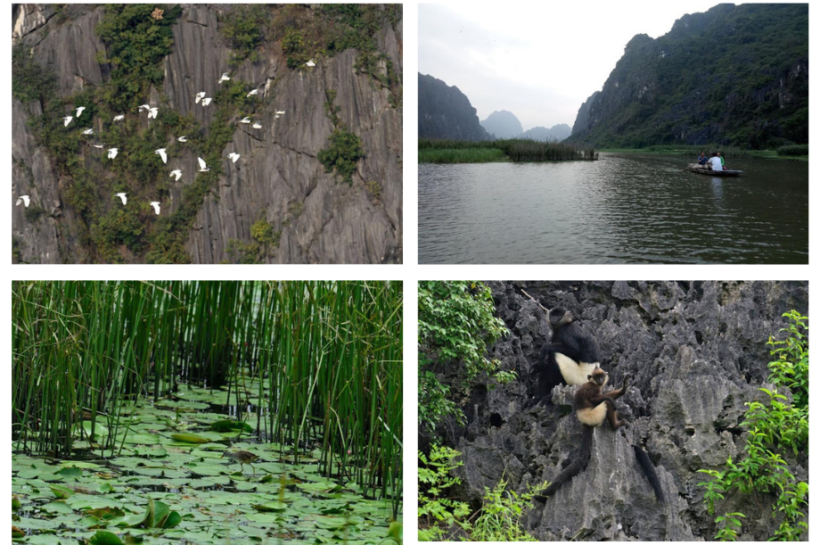 Ảnh: IUCN