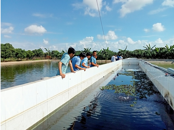 Các hội viên thăm mô hình nuôi thủy sản hiệu quả của Hợp tác xã thủy sản Hưng Phát (Hưng Yên)