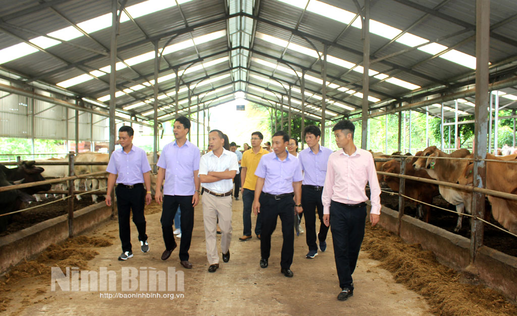 Hội nông dân tỉnh thăm quan mô hình của Công ty T&T 159 (xã Yên Mông, thành phố Hòa Bình).
