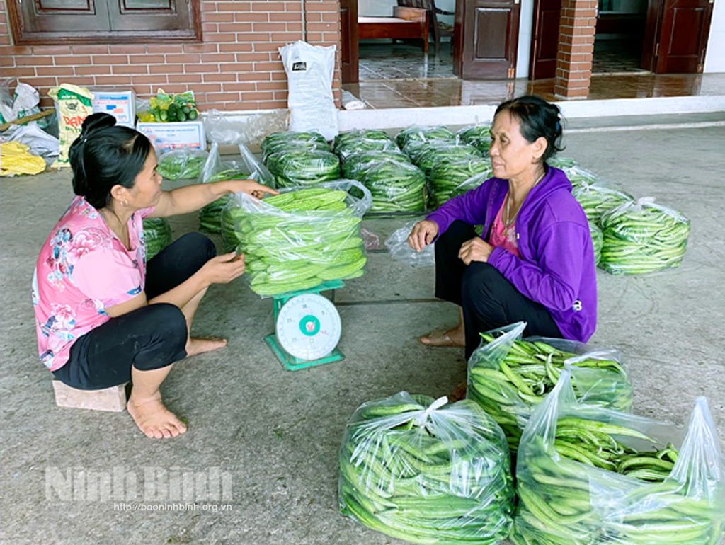 Tuy giá có giảm nhưng các mặt hàng rau, củ, quả ở xã Khánh Thành (huyện Yên Khánh) vẫn đang tiêu thụ tốt.
