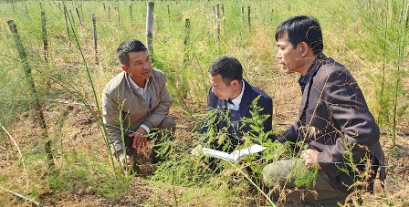 Những năm gần đây, HLV tỉnh Bắc Giang luôn quan tâm hỗ trợ hội viên về kỹ thuật phát triển kinh tế VAC