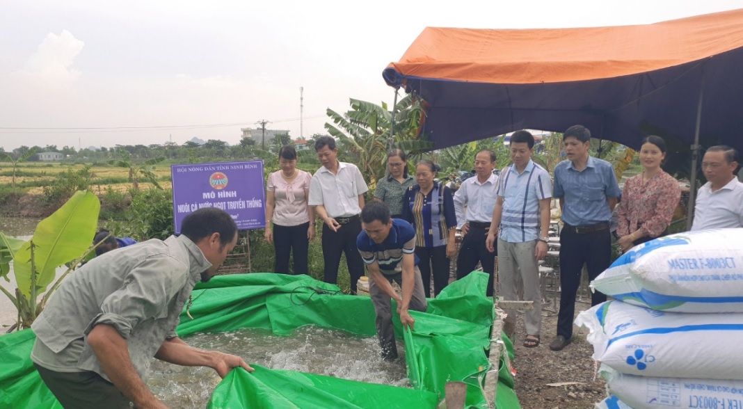 Hội Nông dân tỉnh triển khai, hỗ trợ xây dựng  mô hình nuôi cá nước ngọt thương phẩm tại xã Ninh Nhất, TP Ninh Bình