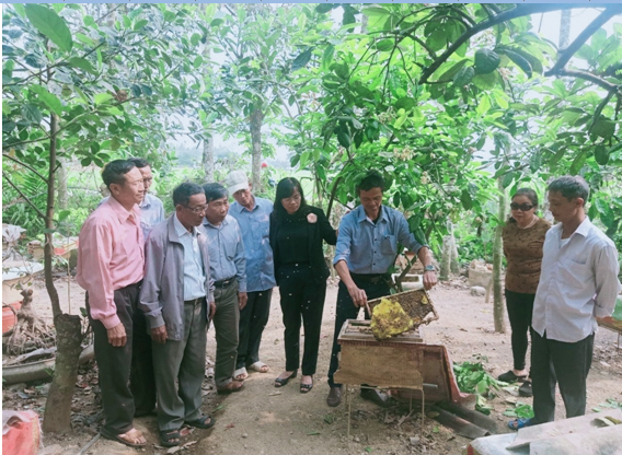 Mô hình nuôi ong lấy mật nội địa của hội  viên nông dân Phạm Văn Hà -xóm 1 xã Liên Sơn ( Gia Viễn).