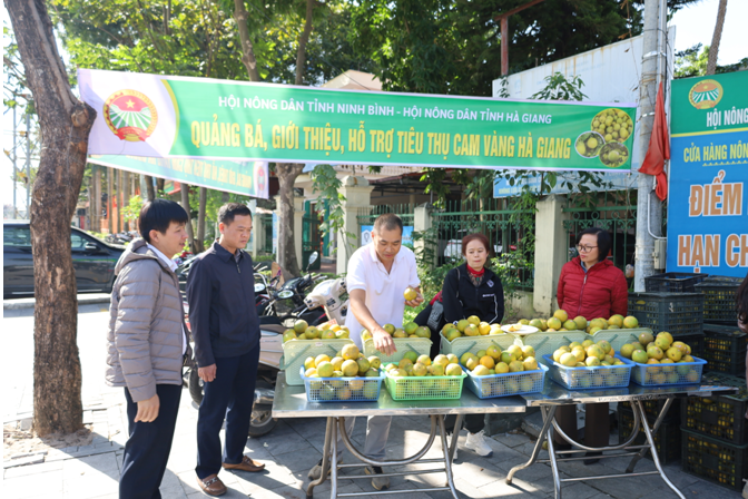 HND tỉnh Ninh Bình hỗ trợ tiêu thụ sản phẩm cam Hà Giang.